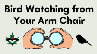 Bird Watching from your Armchair